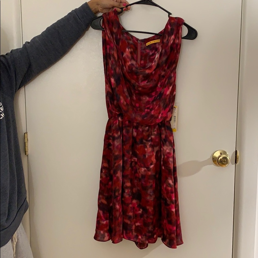 Alice ans Olivia Ikat Dress